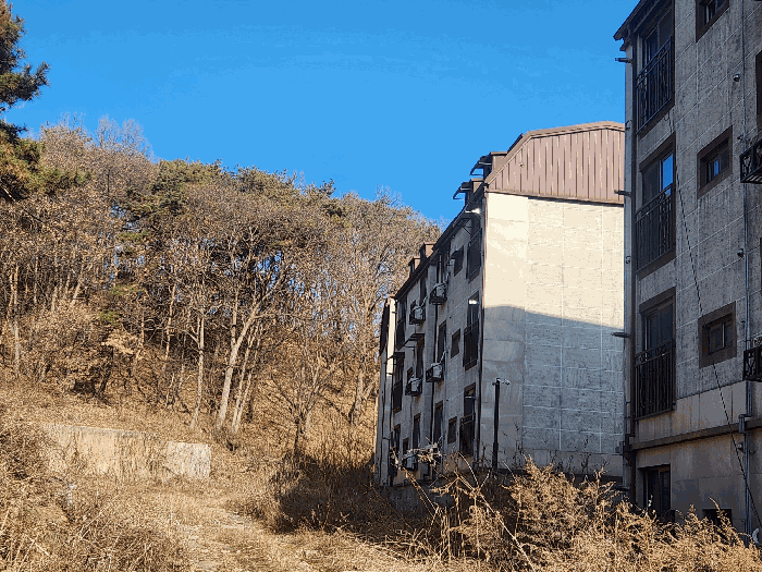물건 사진 10