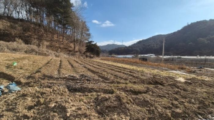 물건 사진 1