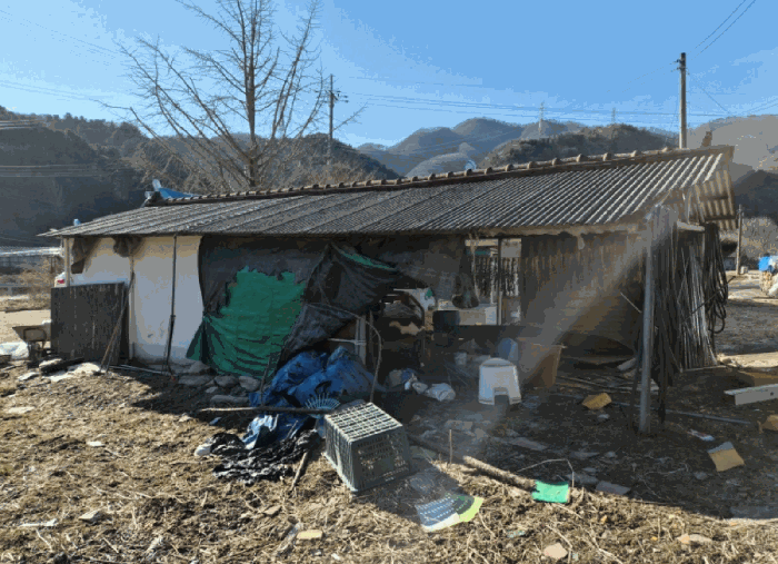 물건 사진 38