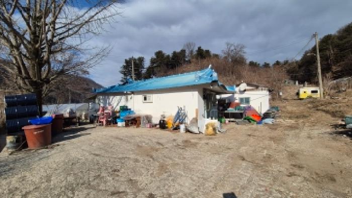 물건 사진 5