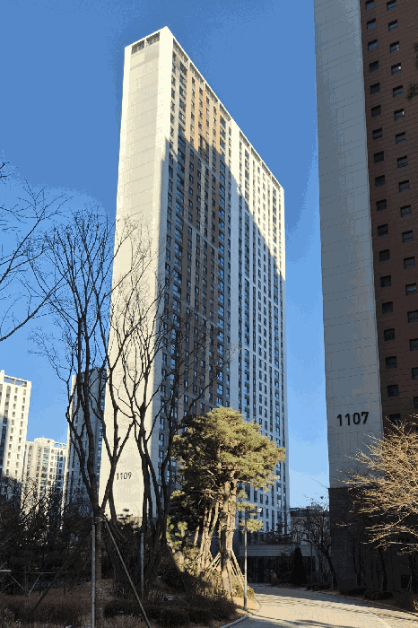 물건 사진 12