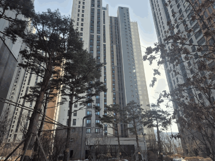 물건 사진 15