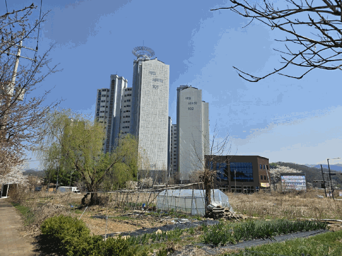 물건 사진 13