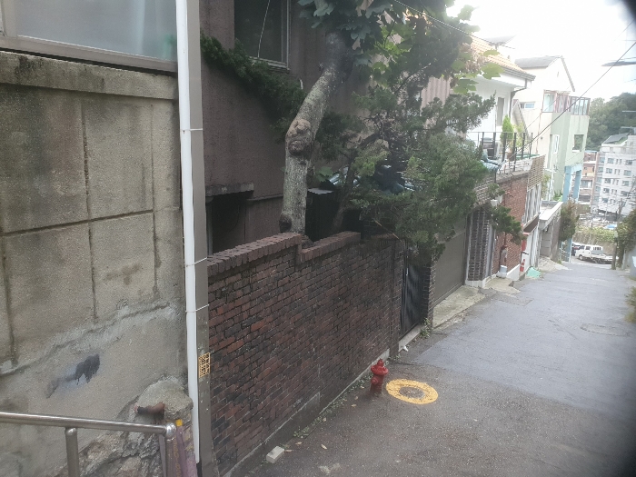 물건 사진 13