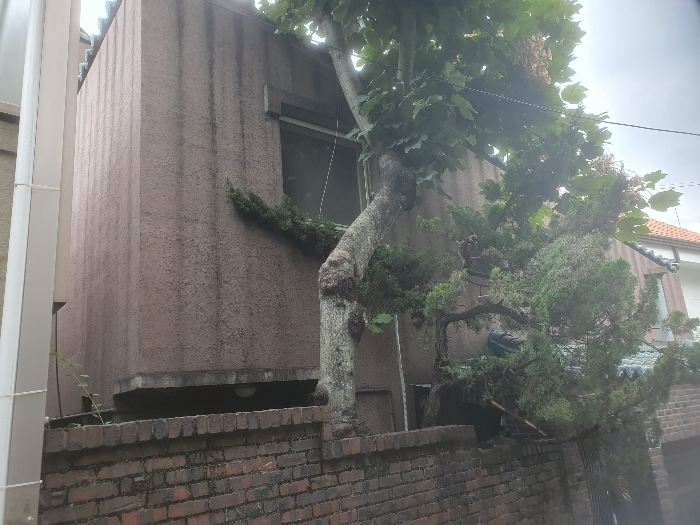 물건 사진 16