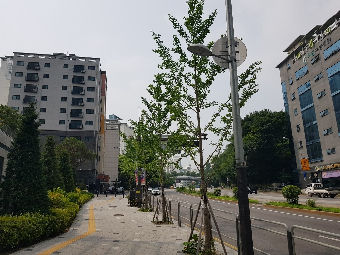 물건 사진 10