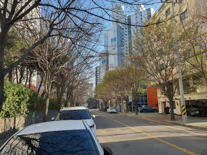 물건 사진 9