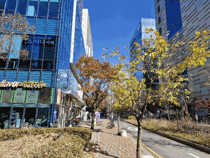 물건 사진 12