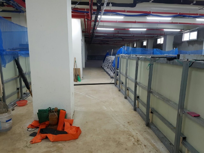 물건 사진 19