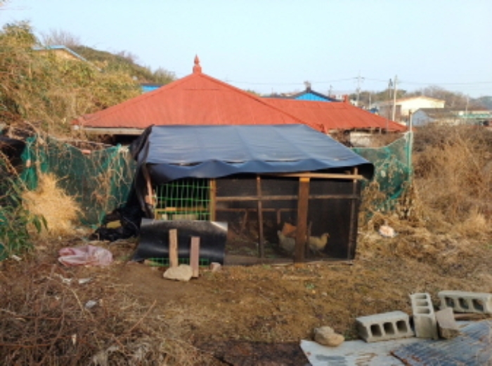 물건 사진 2