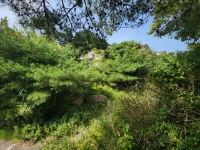물건 사진 17
