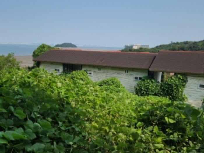 물건 사진 18