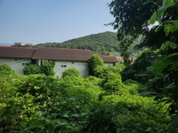 물건 사진 19