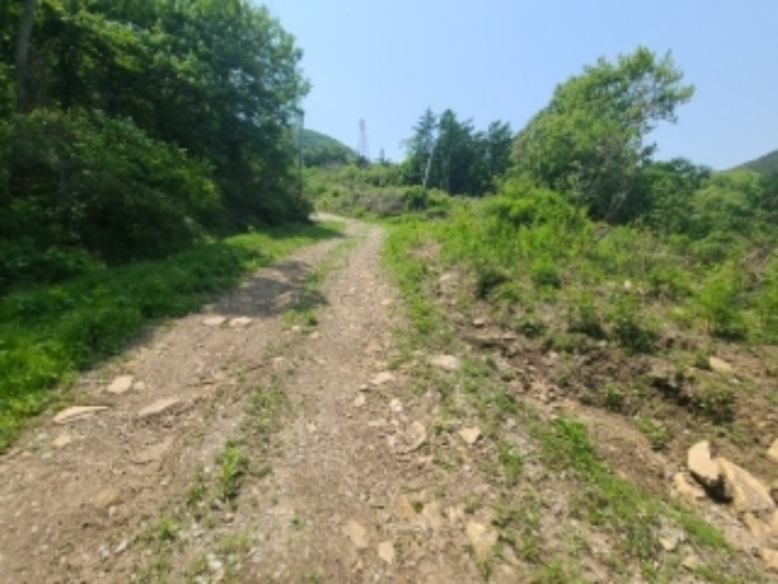 물건 사진 19