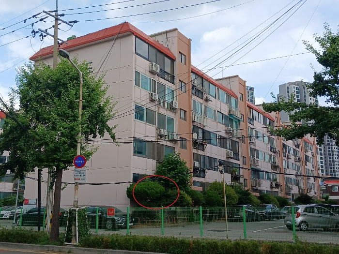 물건 사진 10