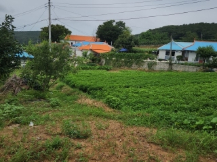 물건 사진 2