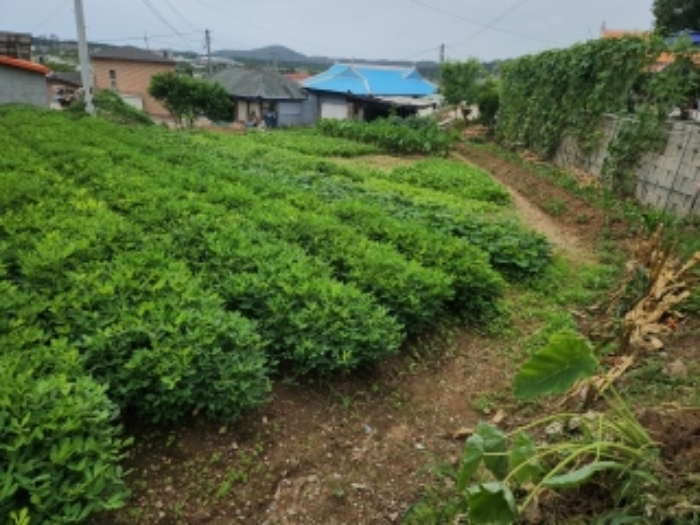물건 사진 11