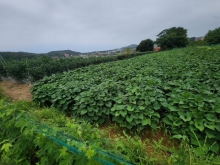 물건 사진 9