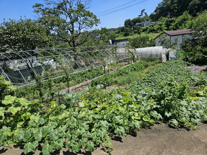 물건 사진 9