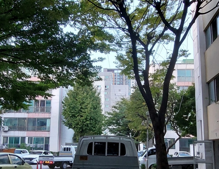 물건 사진 8