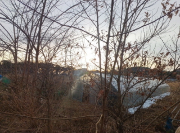 물건 사진 11
