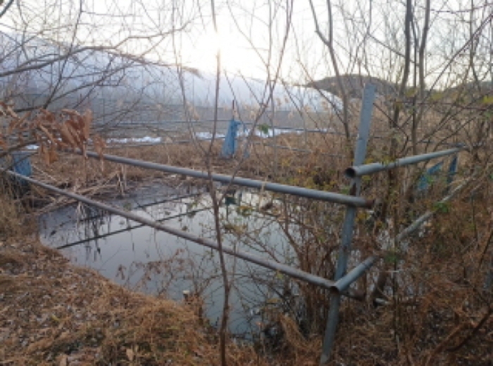 물건 사진 12