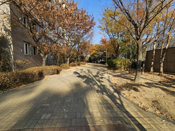 물건 사진 10