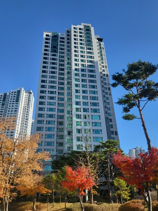 물건 사진 8