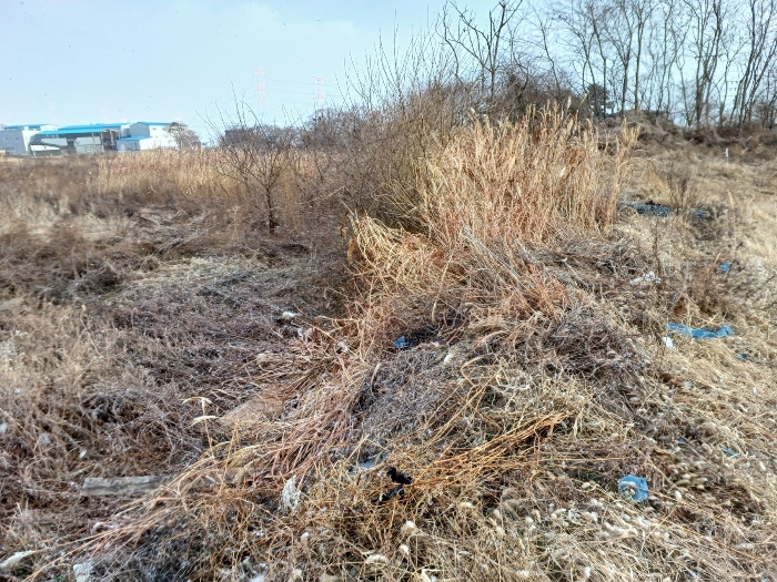 물건 사진 19