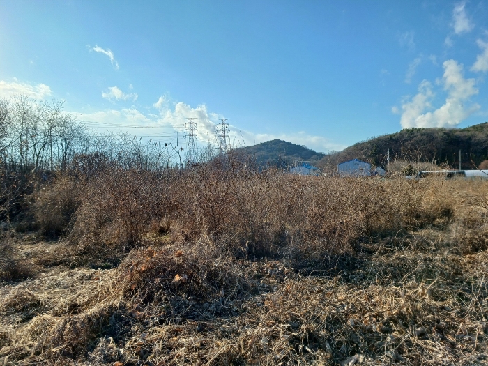 물건 사진 21