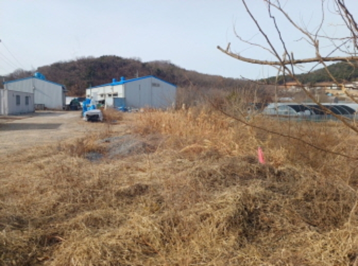 물건 사진 8