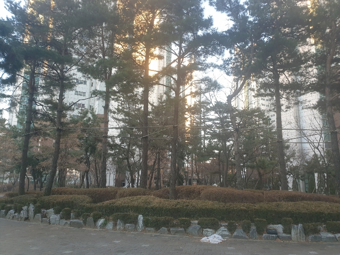 물건 사진 8