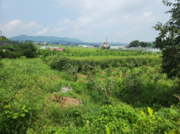 물건 사진 4