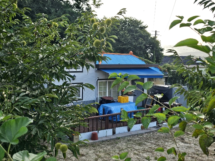 물건 사진 39