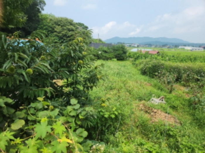 물건 사진 5