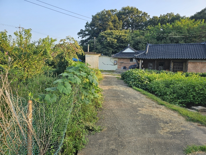물건 사진 41