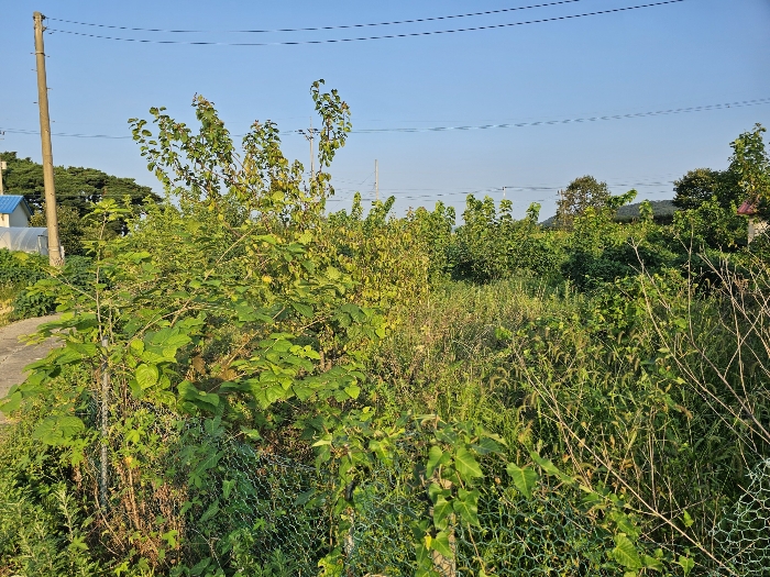 물건 사진 30