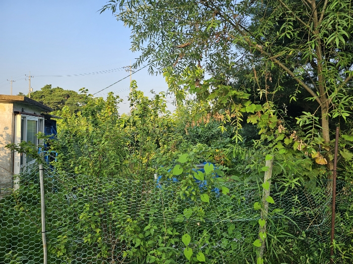물건 사진 37