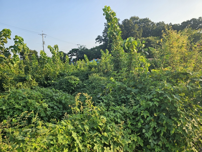 물건 사진 38