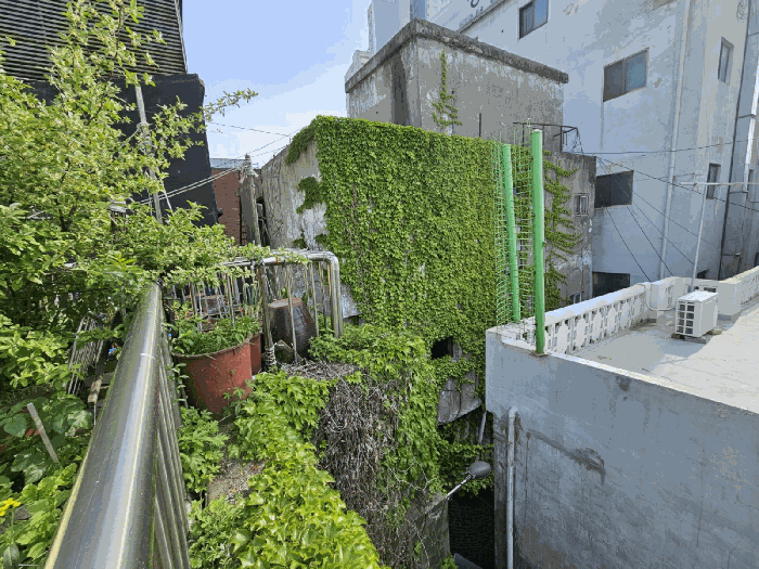 물건 사진 19