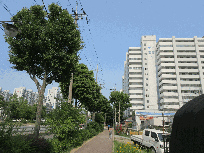 물건 사진 7