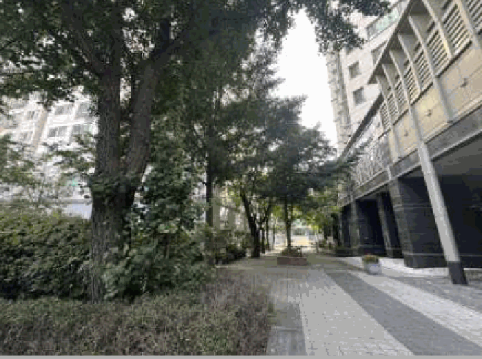 물건 사진 17