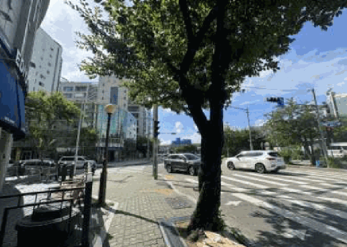 물건 사진 18