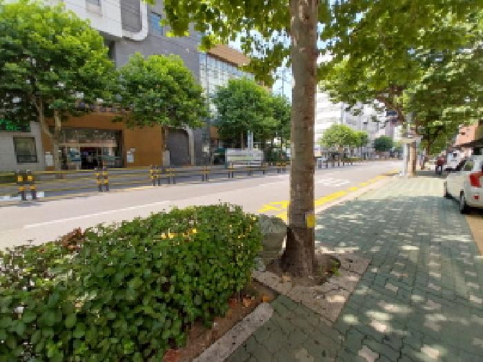 물건 사진 3