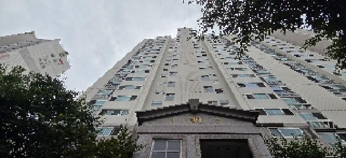 물건 사진 3