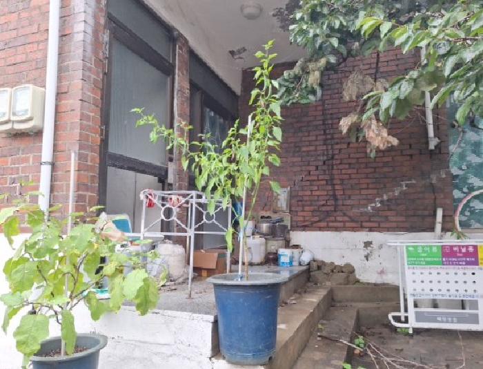 물건 사진 5