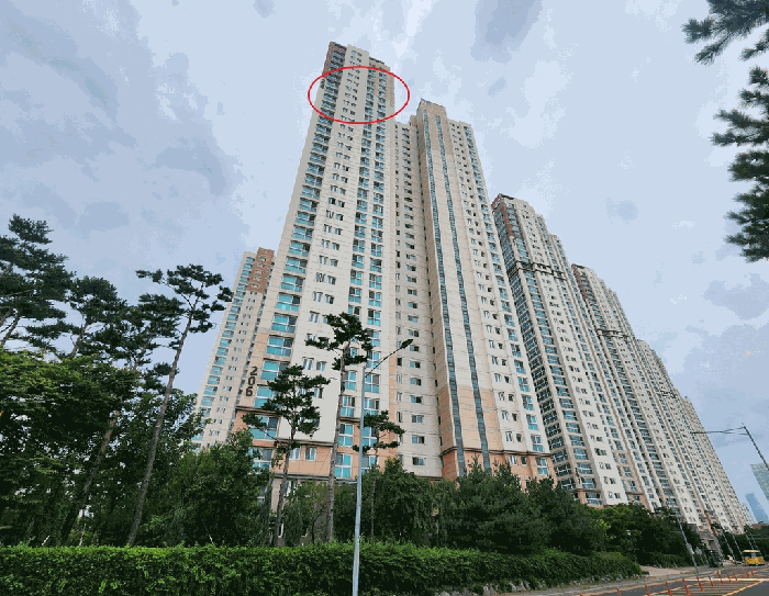 물건 사진 5