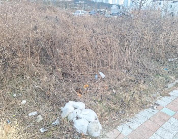 물건 사진 5