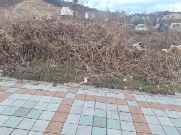 물건 사진 9