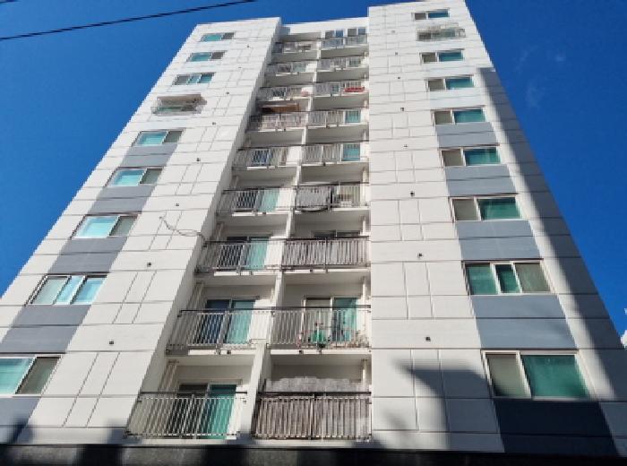 물건 사진 1